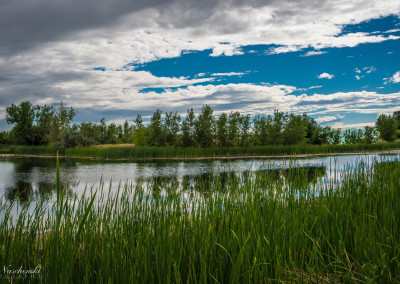 Colorado Open Space in Greeley CO Photo 1