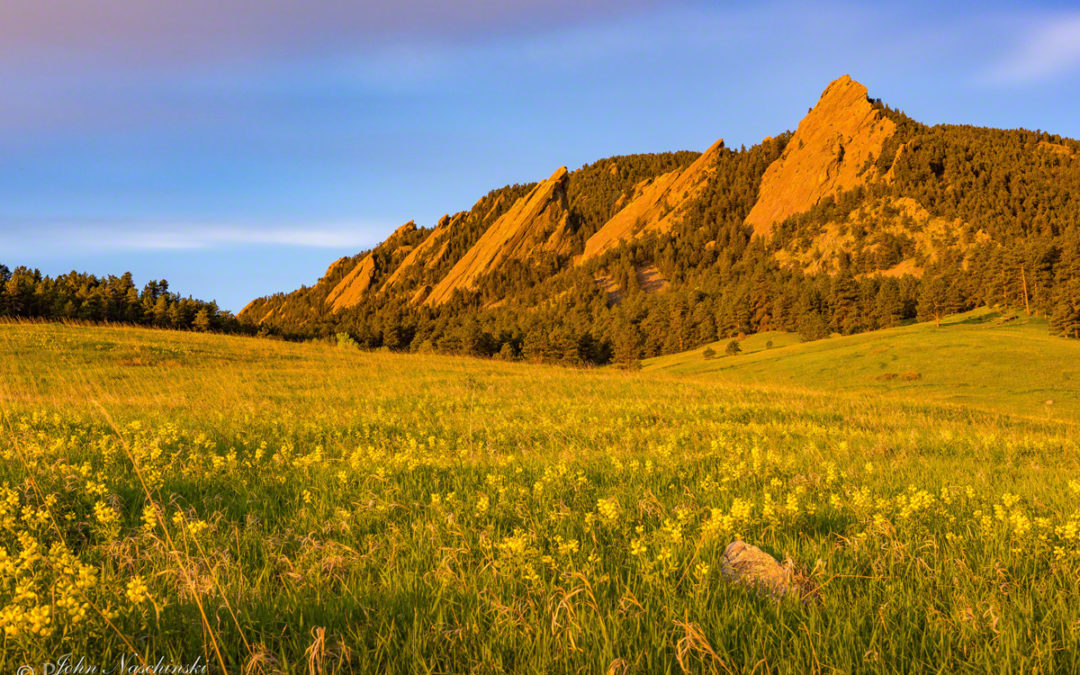 Boulder Colorado Flatirons Wildflower Sunrise Photos