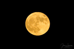 Photo of the Bright Full Blue Moon in Colorado